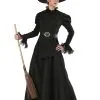 Fun Costumes Women's Classic Black Witch Plus Size Costume
