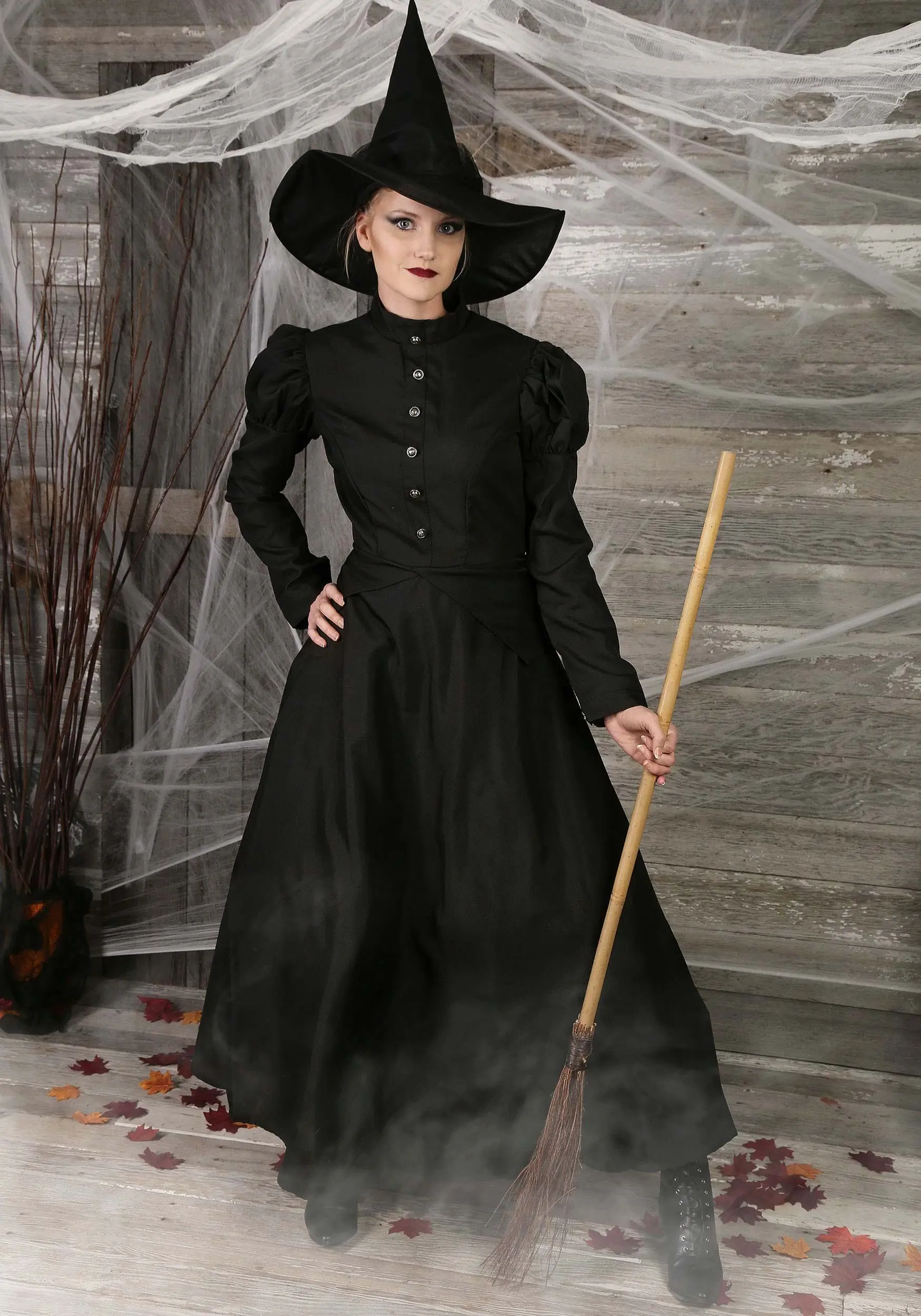 Fun Costumes Womens Deluxe Witch Costume 1 Fun Costumes Womens Deluxe Witch Costume