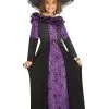 Fun World Purple Spider Witch Costume For Girls