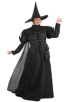 Suzhou Zhongsheng Imp & Exp Co., Ltd Premium Wayward Witch Plus Size Costume