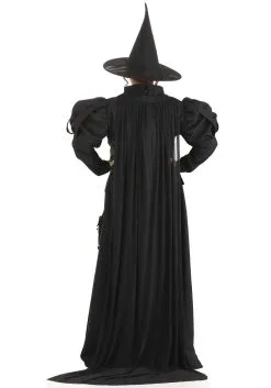 Peter Pan Costumes Shop -Peter Pan Costumes Shop plus size premium wayward witch costume alt 1