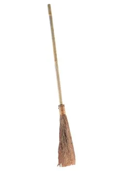 Rubies Costume Co. Inc Wicked Witch Broom