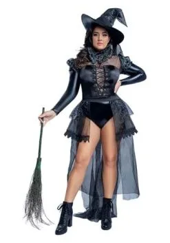 Starline, LLC. Plus Size Wicked Witch Women's Costume