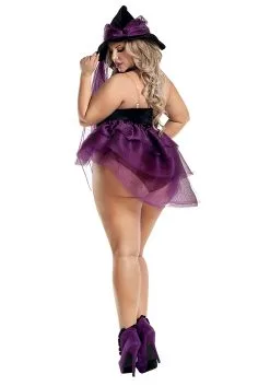 Peter Pan Costumes Shop -Peter Pan Costumes Shop womens sexy plus size sugar plum witch alt 1