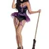 Party King Women's Sugar Plum Witch Costume
